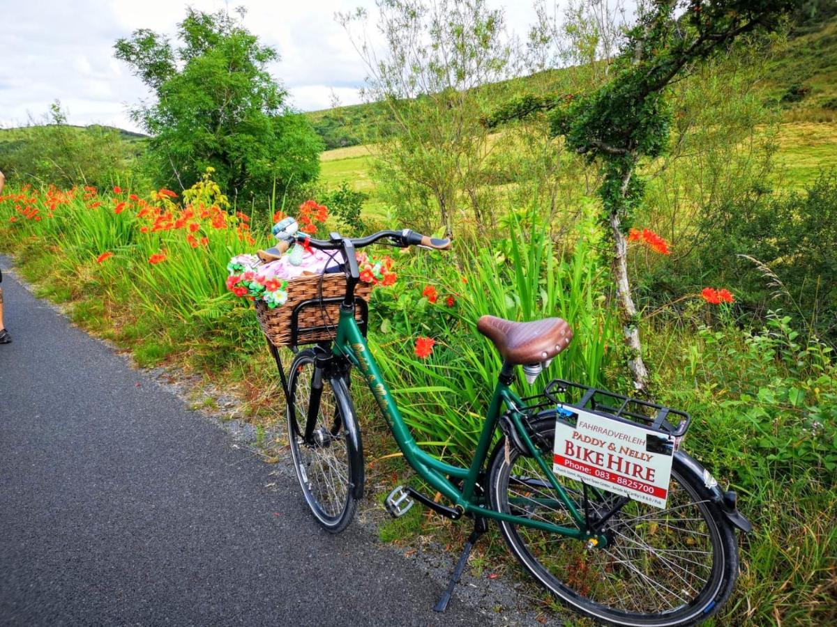 Nellys Bed And Bikes Hotel เวสต์พอร์ต ภายนอก รูปภาพ