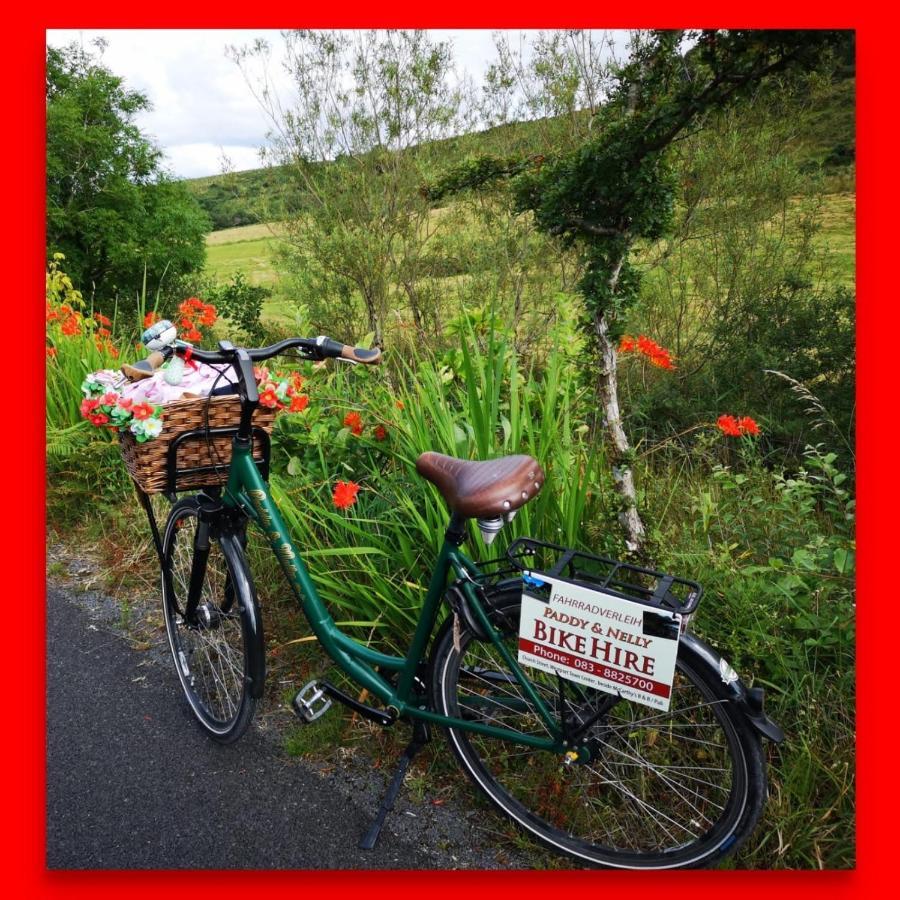 Nellys Bed And Bikes Hotel เวสต์พอร์ต ภายนอก รูปภาพ